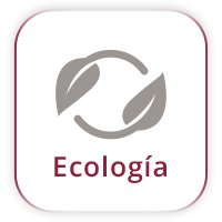 Ecologia